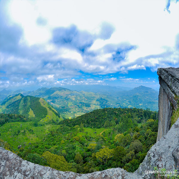 Rockbourne Bungalow, Bungalows in Sri Lanka, Tea estate Bungalows in Sri Lanka, Kandy Bungalows, colonial Bungalows in Sri Lanka, up country Bungalows in Sri Lanka, hill country Bungalows in Sri Lanka, Holidays Bungalows in Sri Lanka, Luxury villas in Sri Lanka,  villas in Sri Lanka